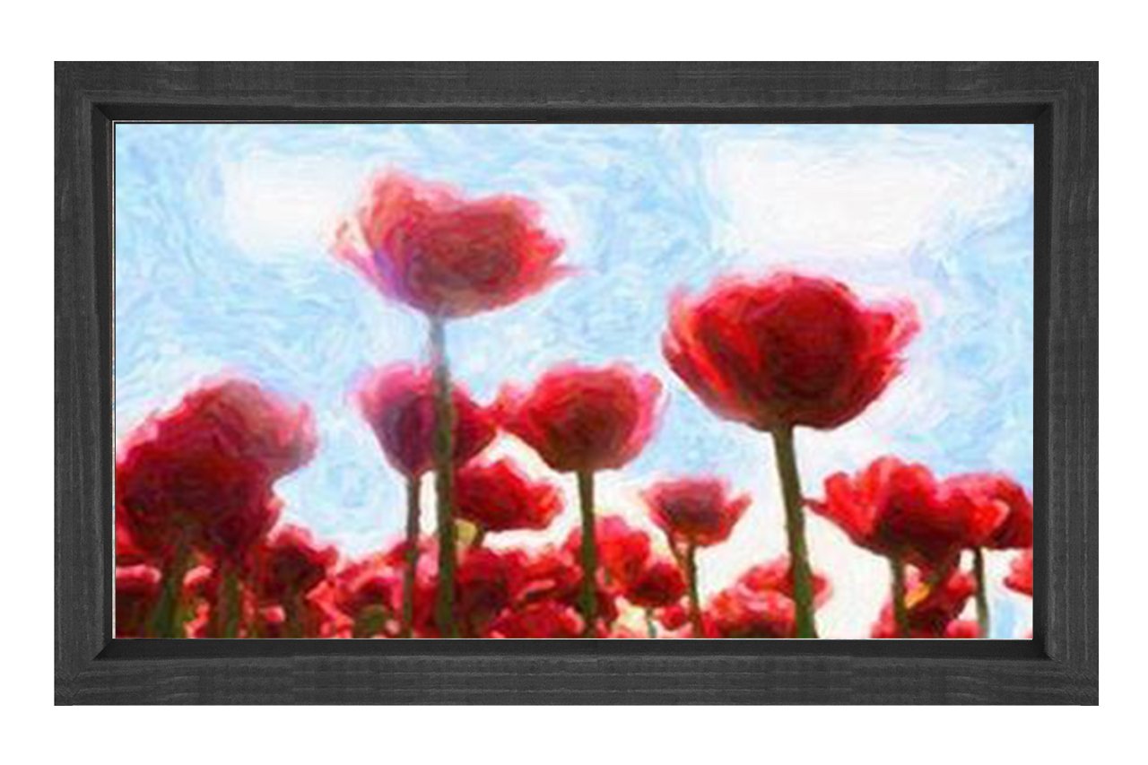 Gelincik Çiçekleri Reprödiksiyon Tablosu Siyah Ahşap Çerçeve - 50x70