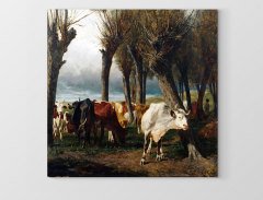 Dana Sürüsü Ormanda Tablosu Çerçevesiz - 30x30