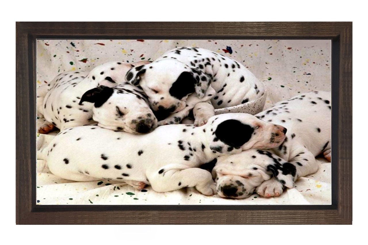 Köpekler Tablosu Kahverengi Ahşap Çerçeve - 50x70
