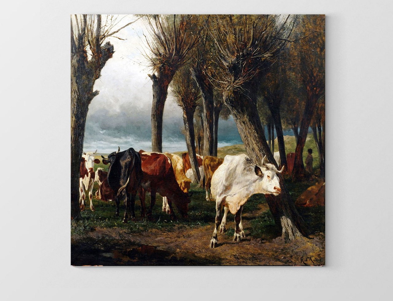 Dana Sürüsü Ormanda Tablosu Çerçevesiz - 50x50