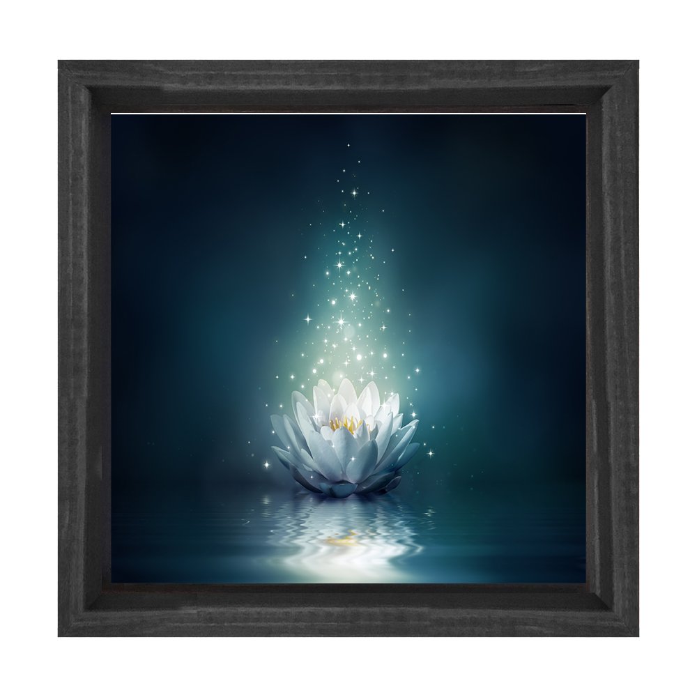 Beyaz Nilüfer Çiçek Tablosu Siyah Ahşap Çerçeve - 60x60
