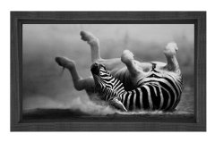 Zebra Tablosu Siyah Ahşap - 50x90