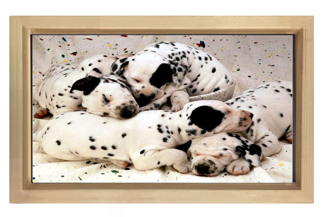 Köpekler Tablosu Naturel Ahşap Çerçeve - 50x90