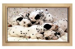 Köpekler Tablosu Naturel Ahşap Çerçeve - 50x90