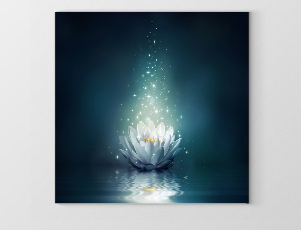 Beyaz Nilüfer Çiçek Tablosu Çerçevesiz - 50x50