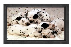 Köpekler Tablosu Siyah Ahşap Çerçeve - 100x200