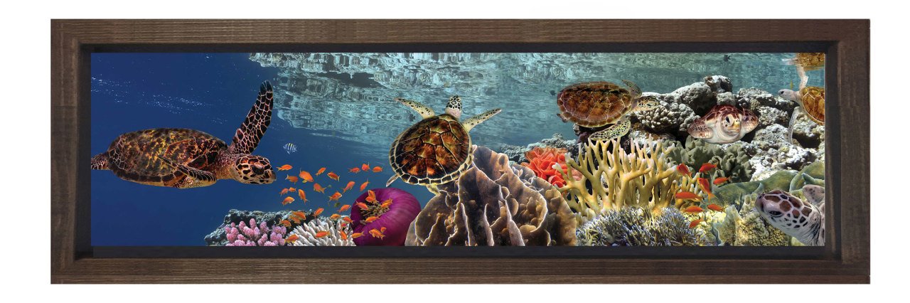 Kaplumbağalar Ve Deniz Tablosu Kahverengi Ahşap Çerçeve - 120x40