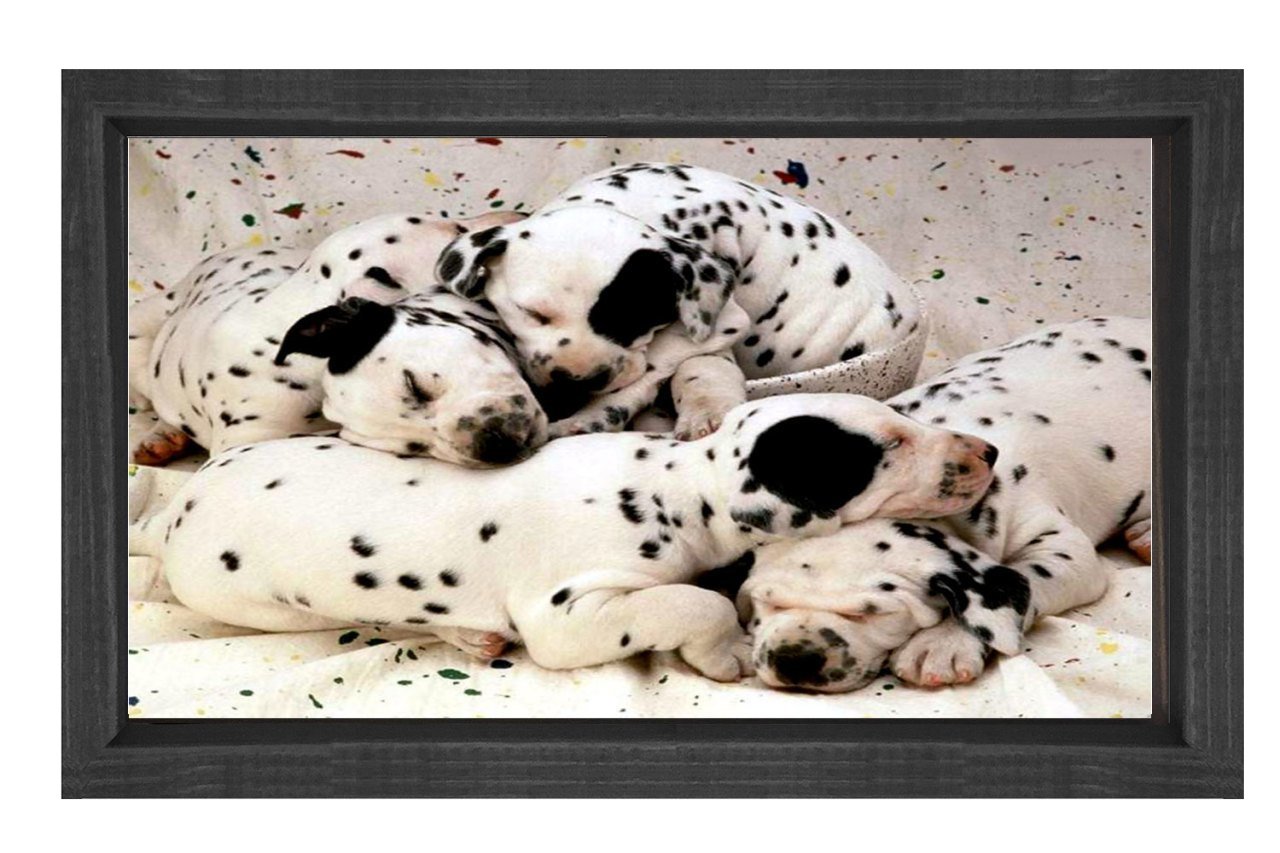Köpekler Tablosu Siyah Ahşap Çerçeve - 70x100