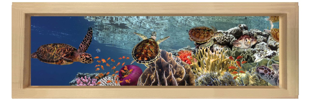 Kaplumbağalar Ve Deniz Tablosu Naturel Ahşap Çerçeve - 150x50