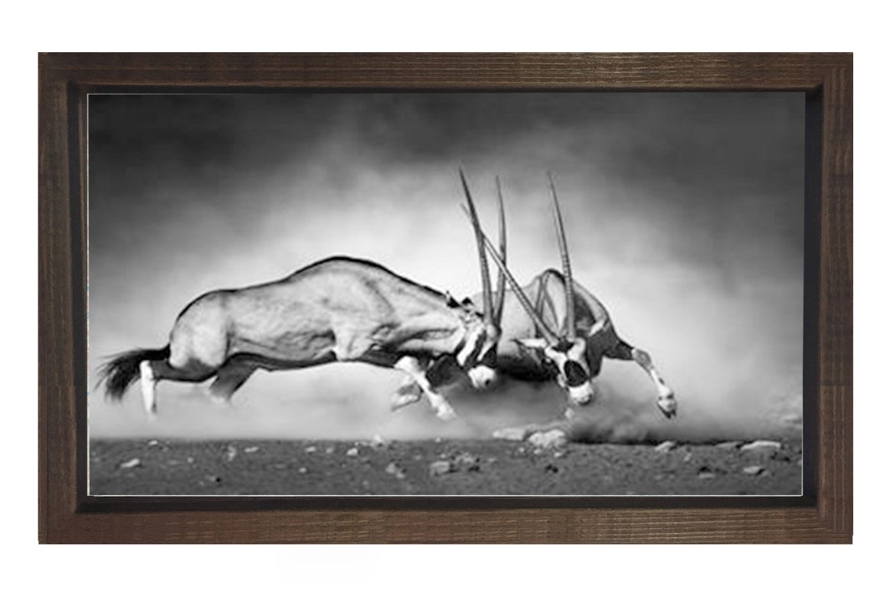 Siyah Beyaz Koç Tablosu Kahverengi Ahşap Çerçeve - 100x200