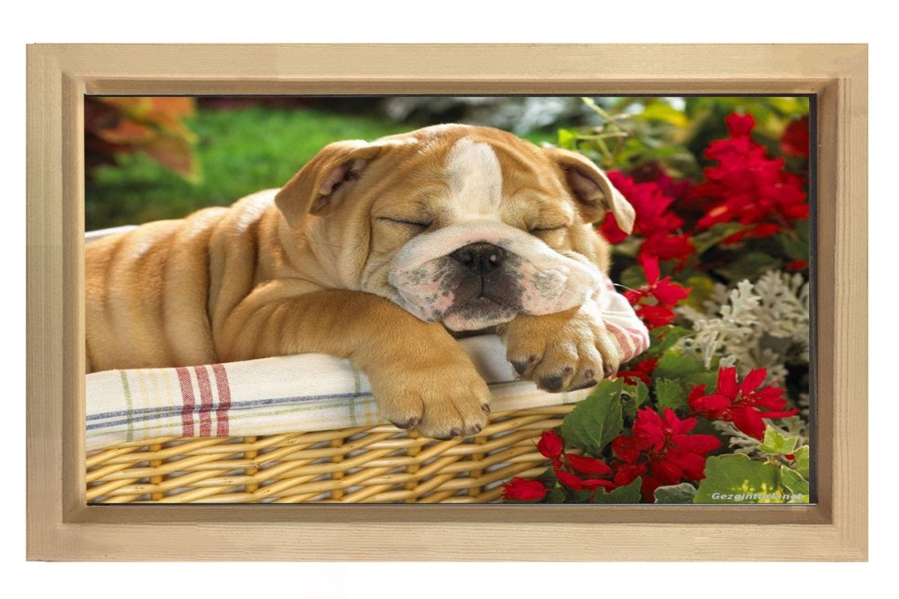 Köpek Tablosu Naturel Ahşap Çerçeve - 50x70