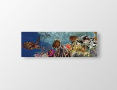 Kaplumbağalar Ve Deniz Tablosu Çerçevesiz - 180x60