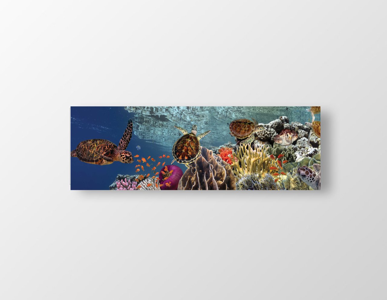 Kaplumbağalar Ve Deniz Tablosu Çerçevesiz - 200x70