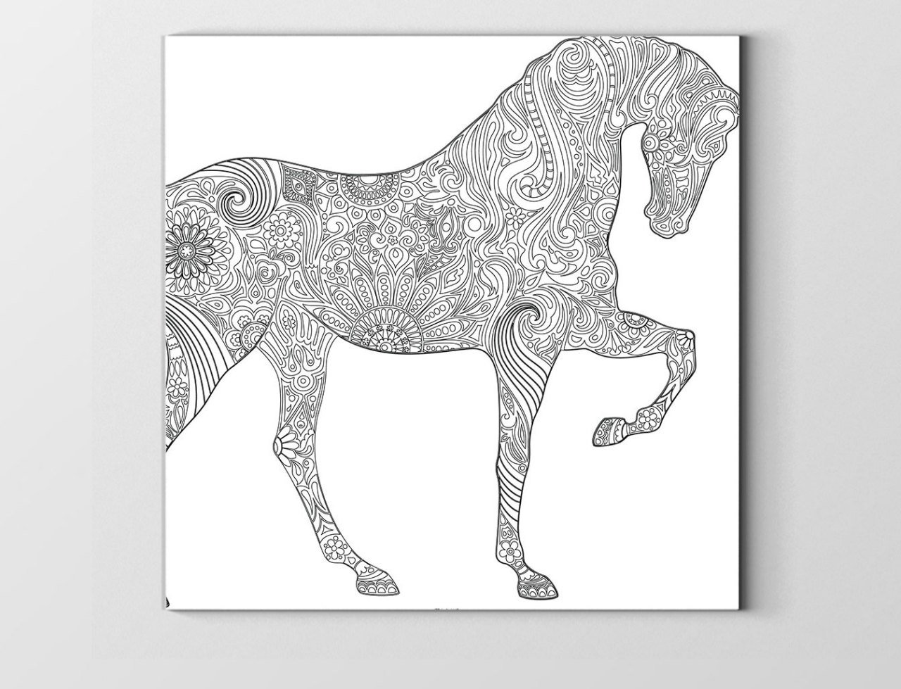 Zebra Boyama Tablo Tablosu Çerçevesiz - 90x90
