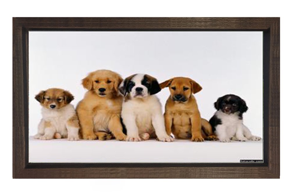 Yavru Köpekler Tablosu Kahverengi Ahşap Çerçeve - 100x150