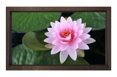 Pembe Nilüfer Çiçeği Tablosu Kahverengi Ahşap - 100x200