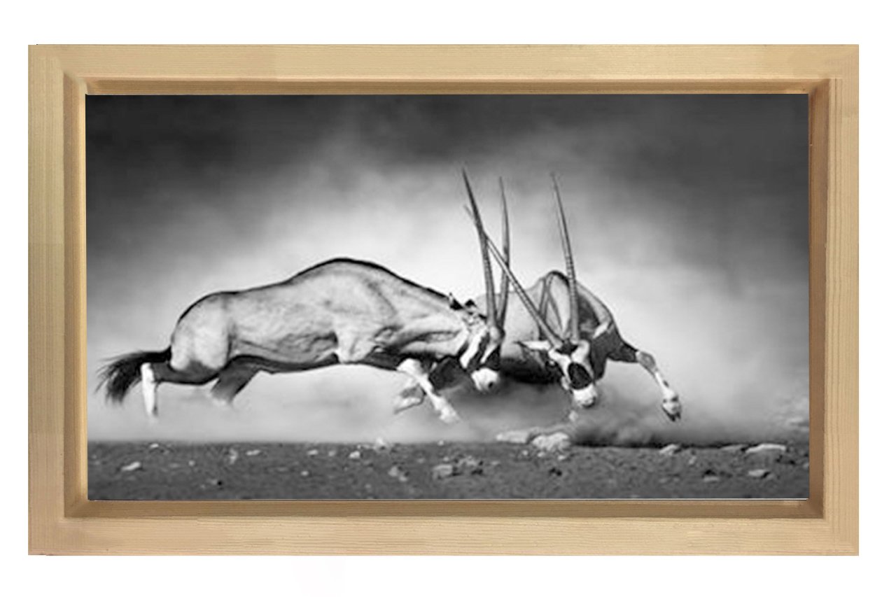 Siyah Beyaz Koç Tablosu Naturel Ahşap Çerçeve - 50x90