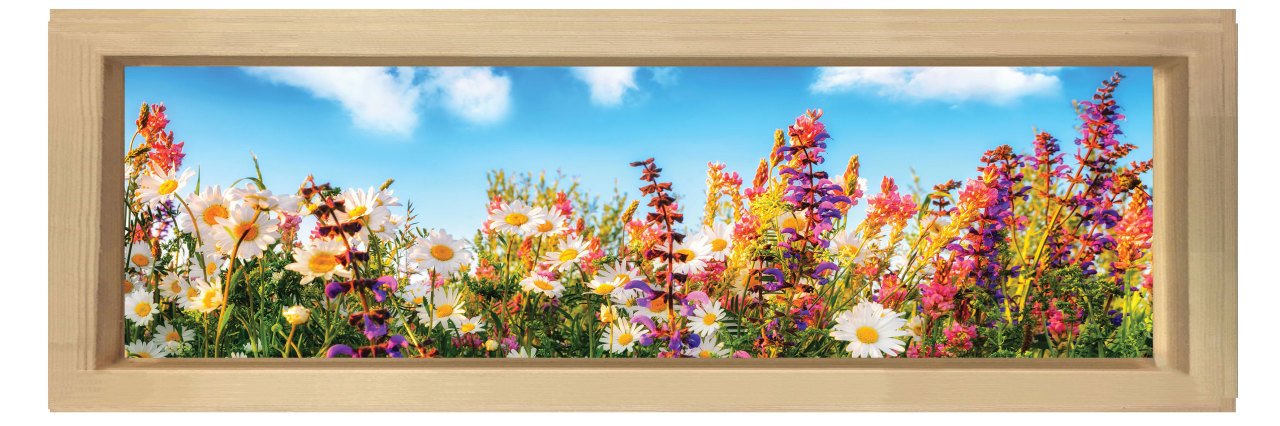 Papatyalar Ve Gökyüzü Tablosu Naturel Ahşap Çerçeve - 180x60