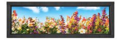 Papatyalar Ve Gökyüzü Tablosu Siyah Ahşap Çerçeve - 120x40