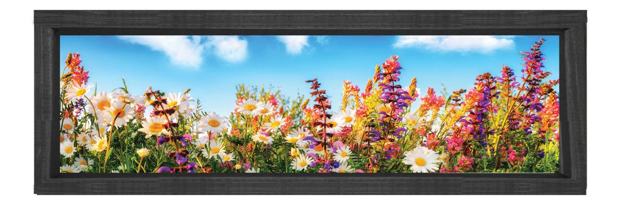 Papatyalar Ve Gökyüzü Tablosu Siyah Ahşap Çerçeve - 150x50