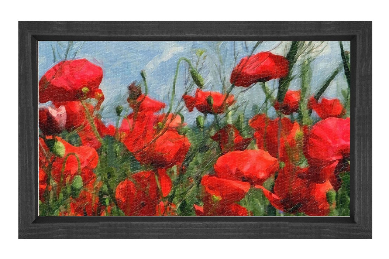 Kırmızı Gelincik Çiçekler Tablosu Siyah Ahşap Çerçeve - 40x60