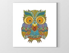 Baykuş Tablosu Çerçevesiz - 70x70