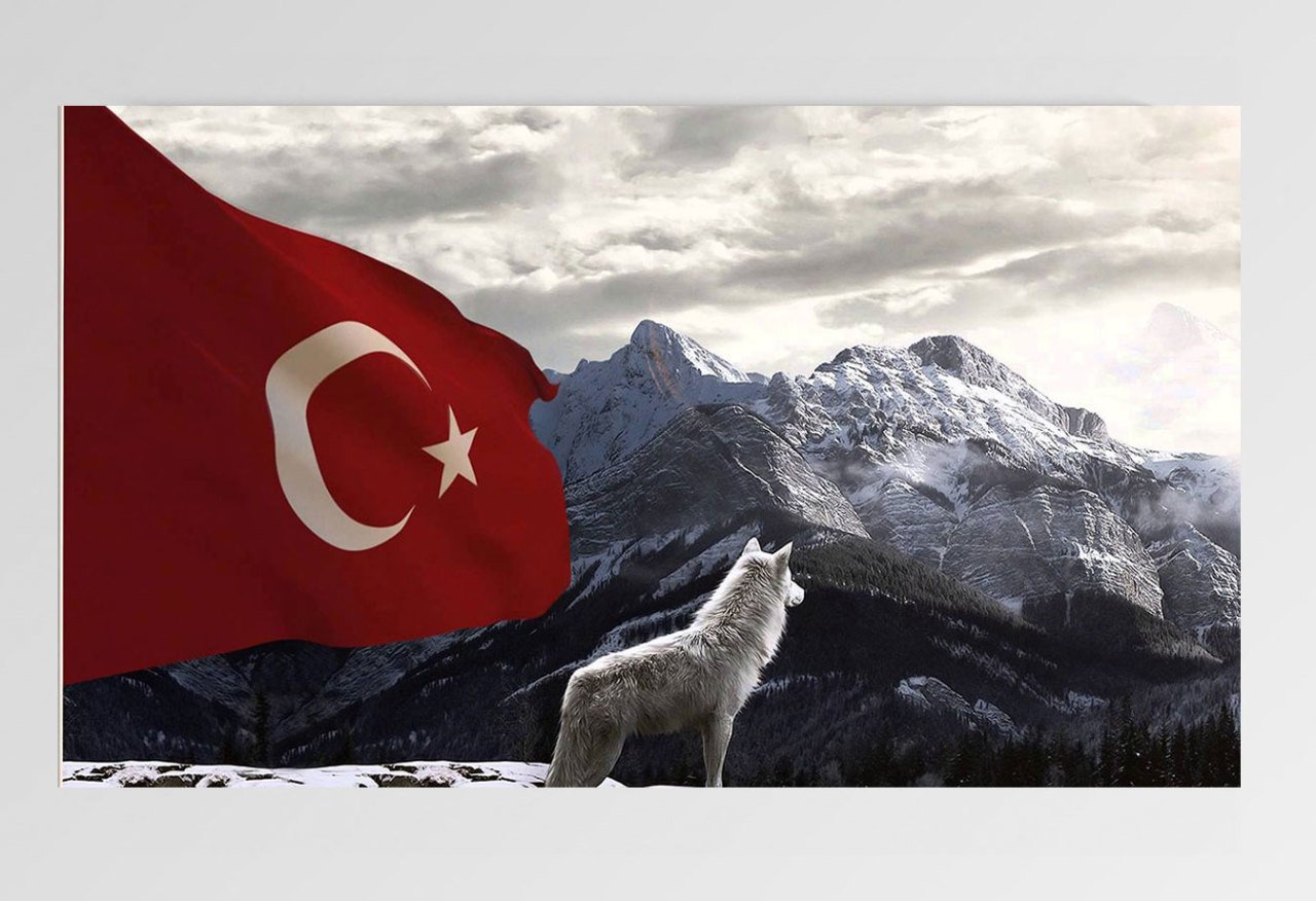 Bozkurt Ve Türk Bayrağı Tablosu Çerçevesiz - 100x150
