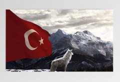 Bozkurt Ve Türk Bayrağı Tablosu Çerçevesiz - 100x150