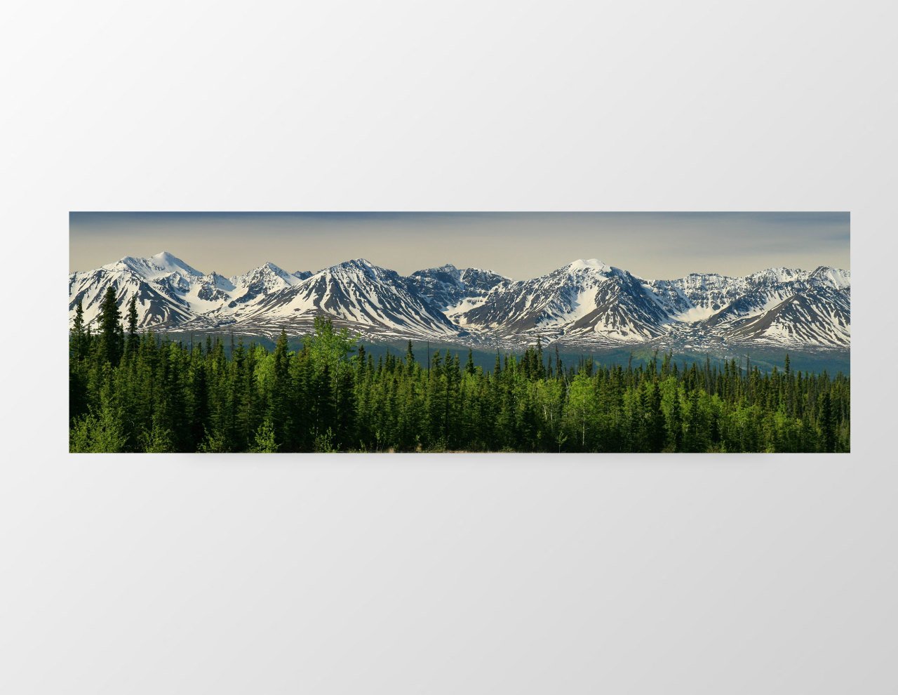 Dağlar Ve Orman Tablosu Çerçevesiz - 150x50