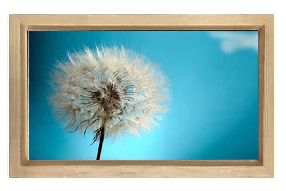 Şeytan Tüyü Tablosu Naturel Ahşap Çerçeve - 50x90