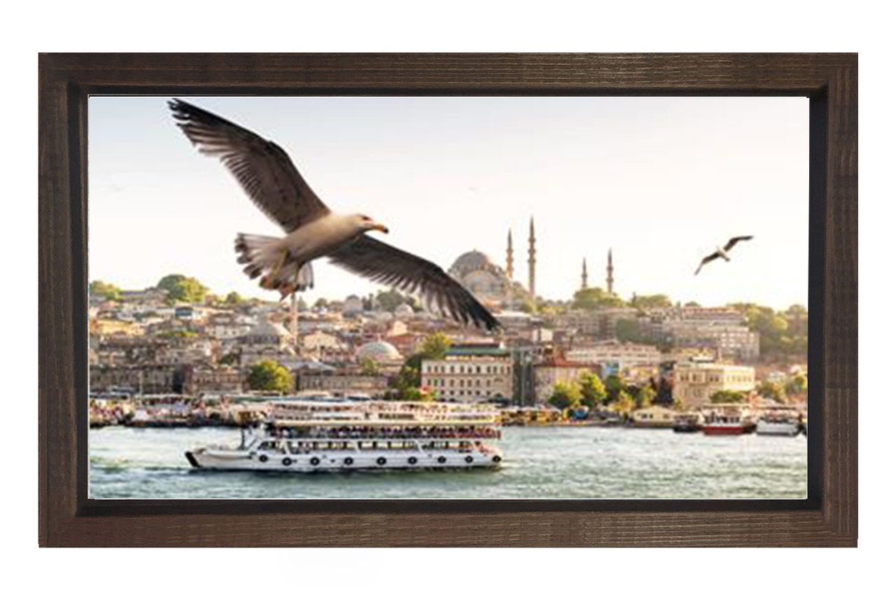 İstanbul ve Martılar Tablosu Kahverengi Ahşap - 100x150