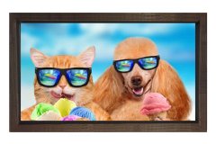 Kedi Ve Köpek Tablosu Kahverengi Ahşap Çerçeve - 40x60