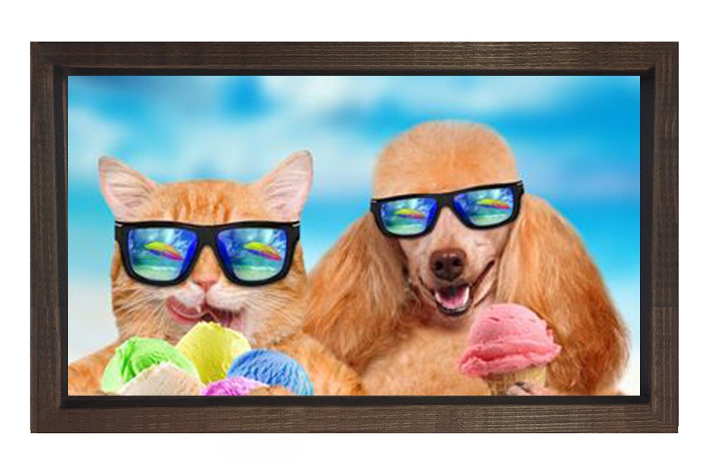 Kedi Ve Köpek Tablosu Kahverengi Ahşap Çerçeve - 70x100