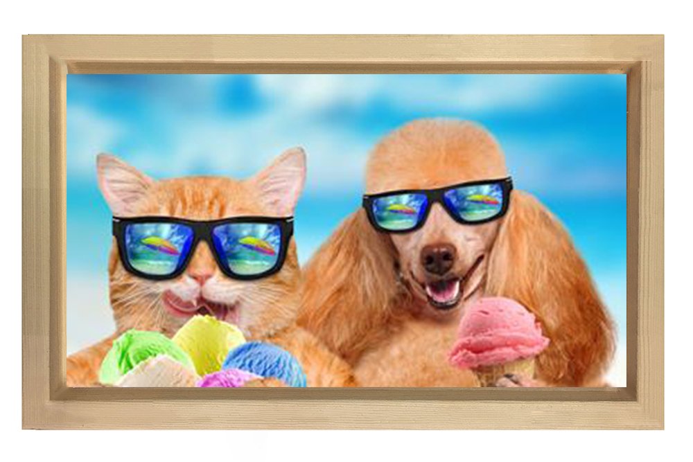 Kedi Ve Köpek Tablosu Naturel Ahşap Çerçeve - 50x90