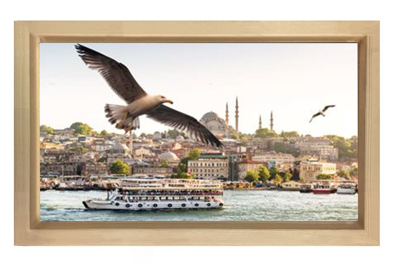 İstanbul ve Martılar Tablosu Naturel Ahşap - 70x100