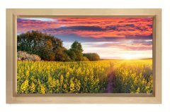 Muhtesem Gökyüzü Çiçekli Tarla Tablosu Naturel Ahşap - 45x30