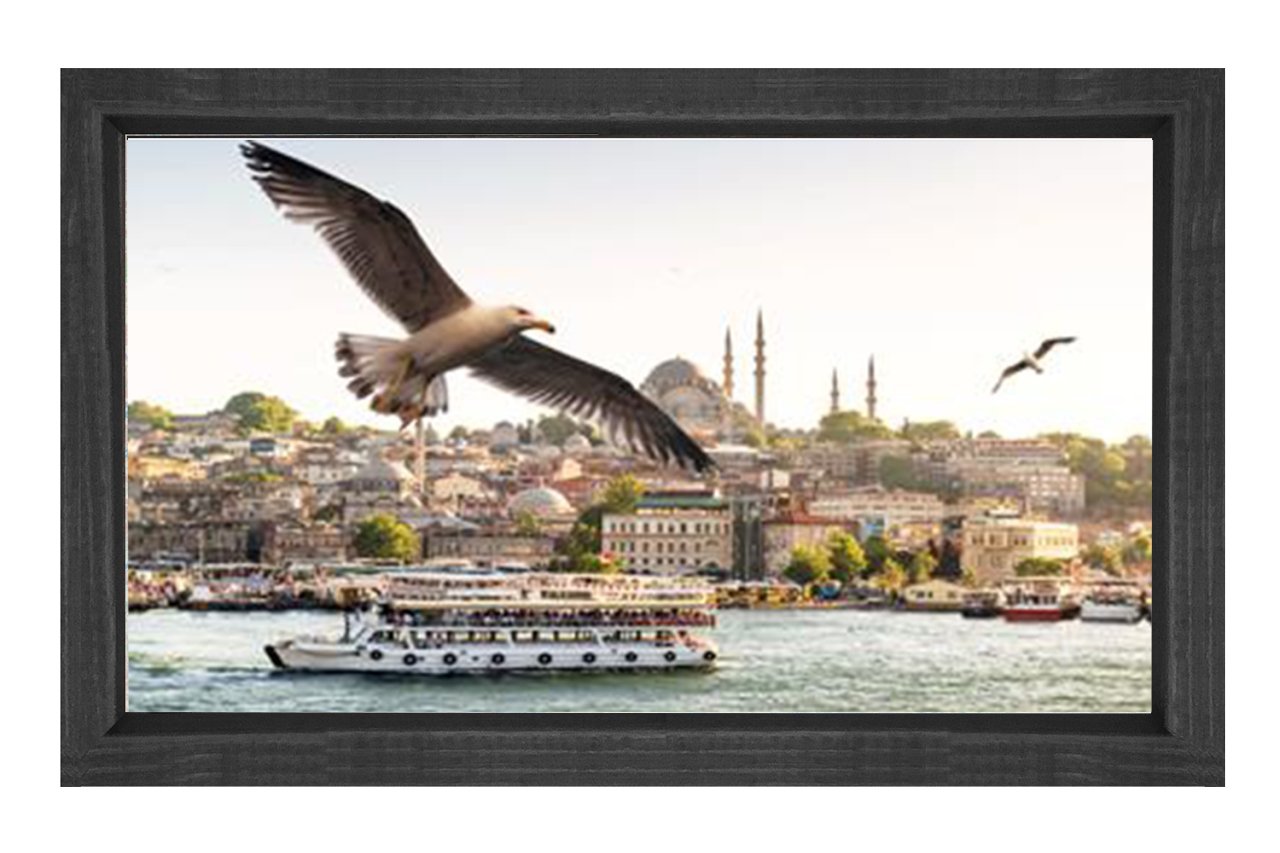 İstanbul ve Martılar Tablosu Siyah Ahşap - 100x200