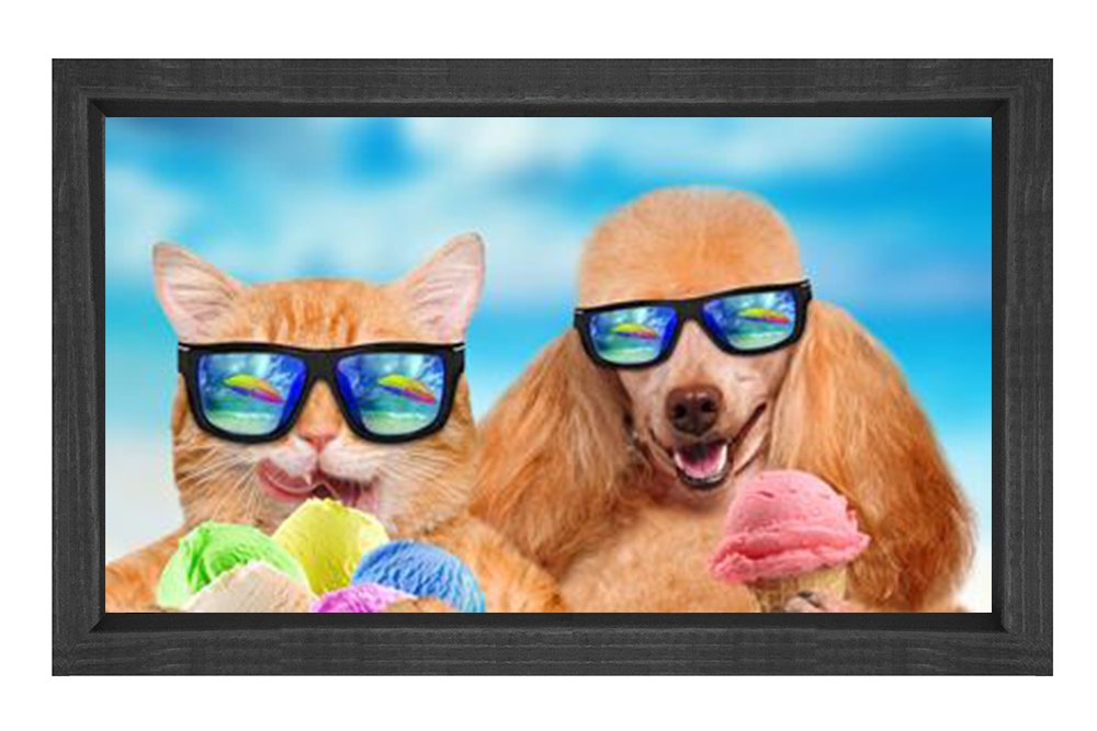 Kedi Ve Köpek Tablosu Siyah Ahşap Çerçeve - 50x70