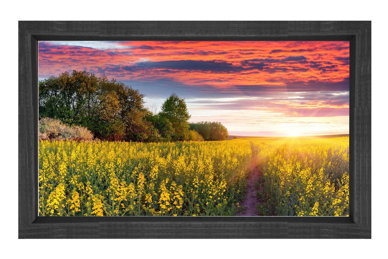 Muhtesem Gökyüzü Çiçekli Tarla Tablosu Siyah Ahşap - 40x60