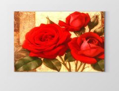 Güller Çiçek Dekoratif Tablosu Çerçevesiz - 100x150