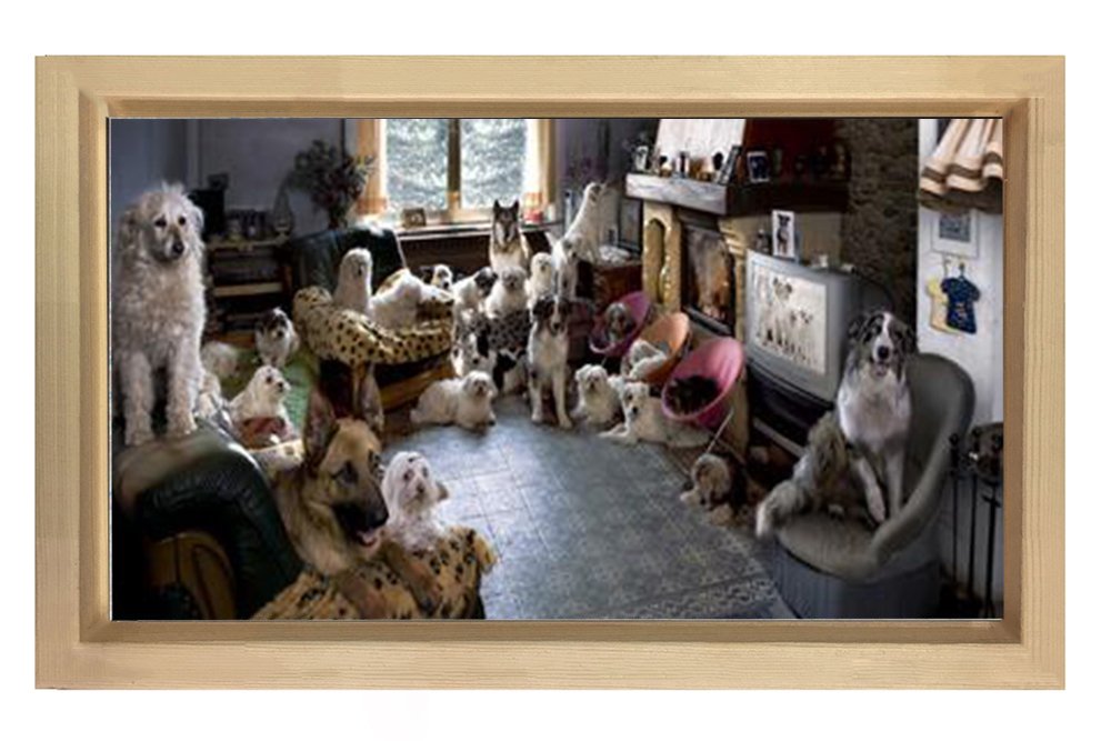 Köpekler Tablosu Naturel Ahşap Çerçeve - 70x100