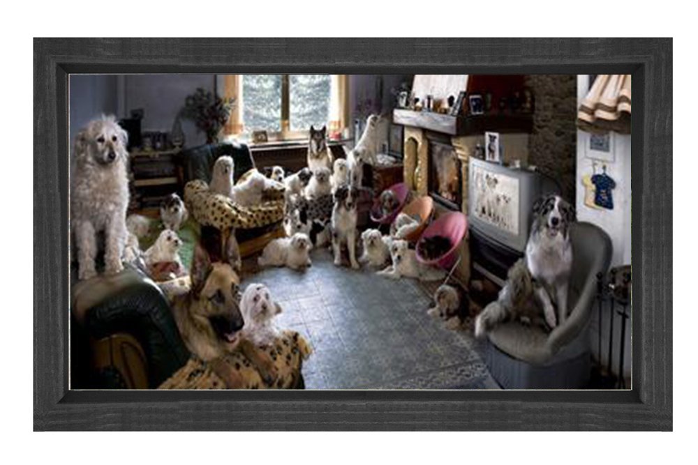 Köpekler Tablosu Siyah Ahşap Çerçeve - 70x100
