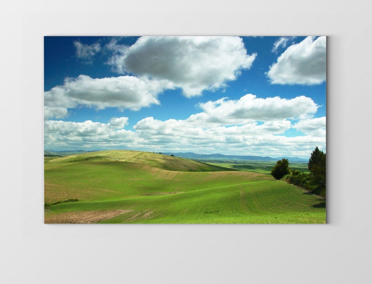 Gökyüzü Ve Orman Tablosu Çerçevesiz - 100x150
