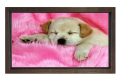 Sevimli Köpek Tablosu Kahverengi Ahşap - 40x60