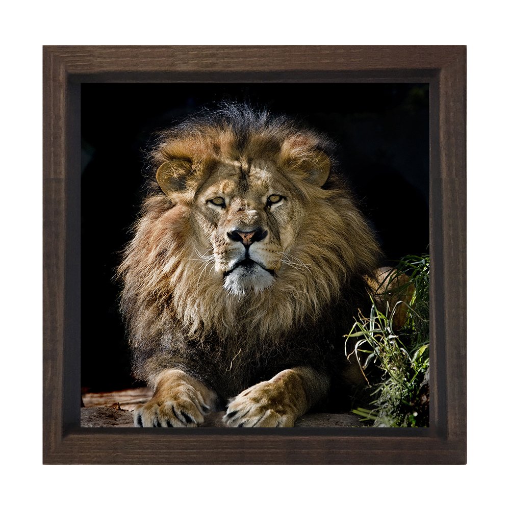 Aslan Tablosu