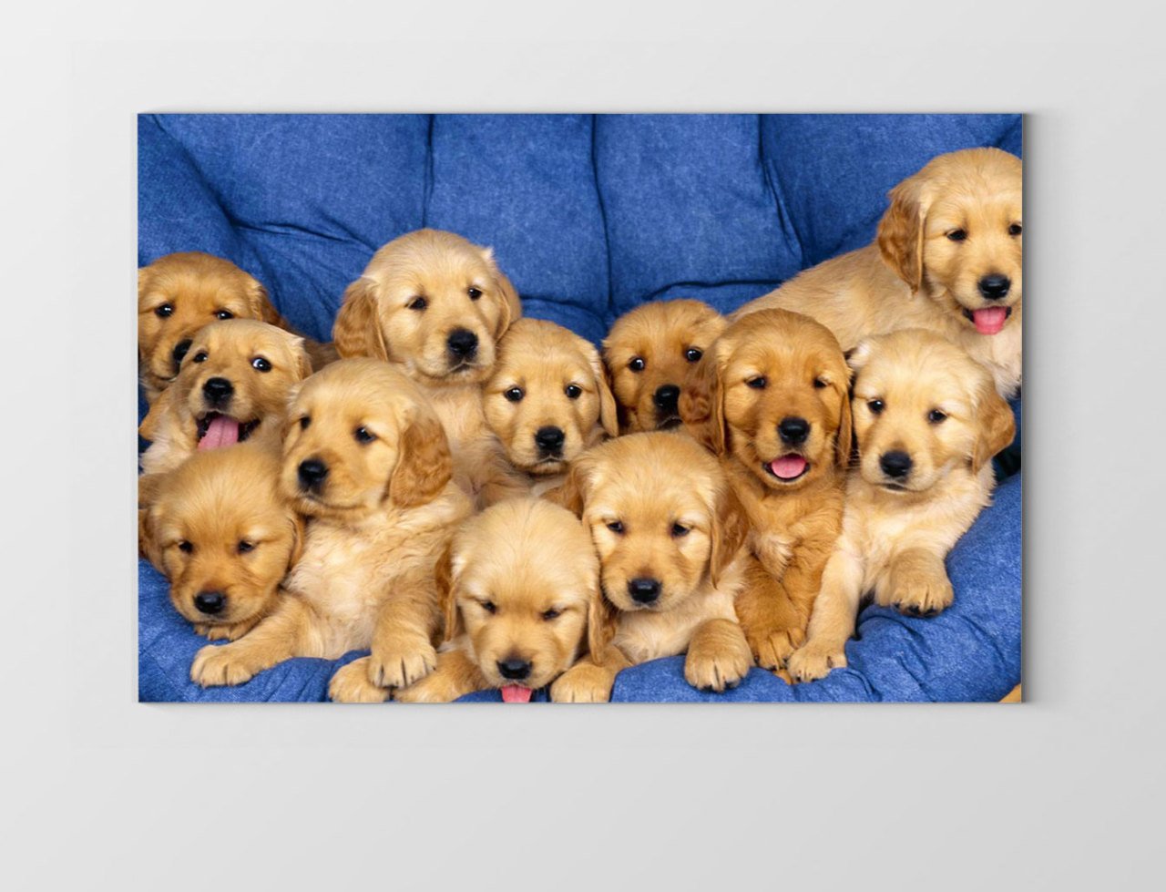 Köpekler Tablosu Çerçevesiz - 100x150