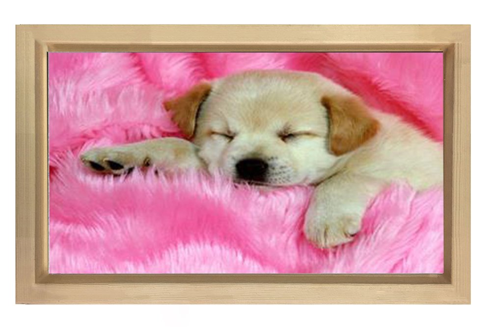 Sevimli Köpek Tablosu Naturel Ahşap - 40x60