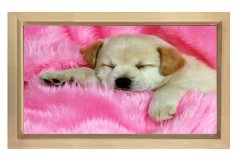 Sevimli Köpek Tablosu Naturel Ahşap - 45x30