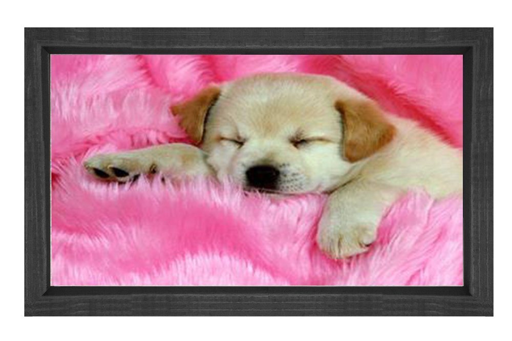 Sevimli Köpek Tablosu Siyah Ahşap - 100x150