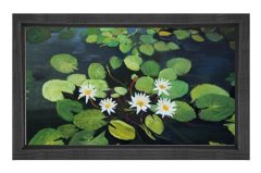 Beyaz Nilüferler Çiçekleri Tablosu Siyah Ahşap - 50x70